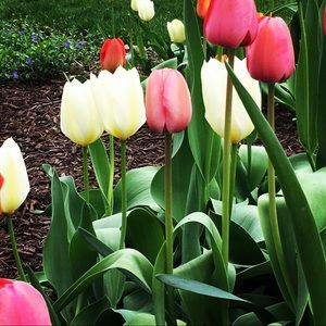 Meet your Posher, Kerry